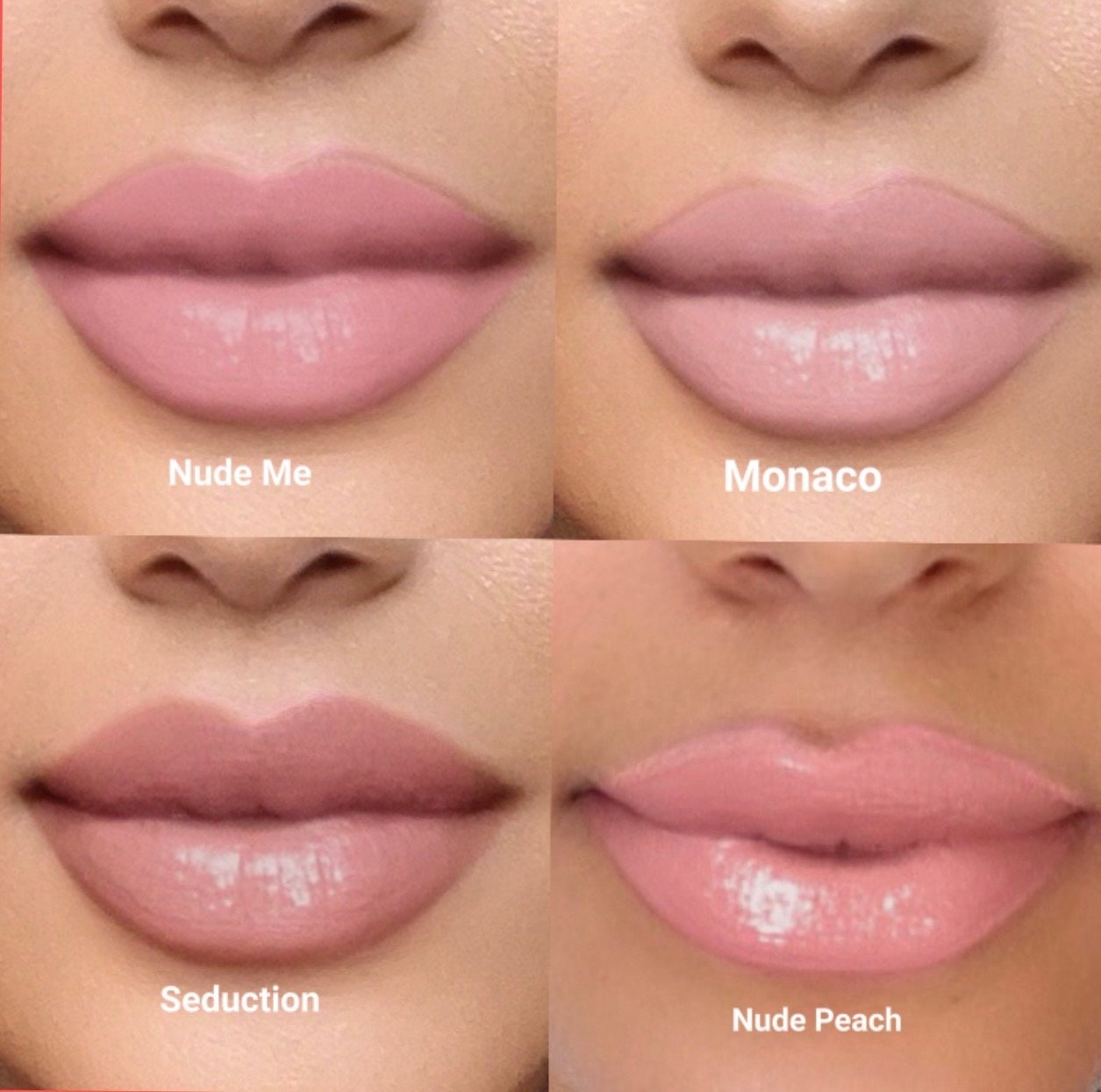 Vegan Lipstick-Long Stay, High Pigmented Colors_ Made In US with Clean Ingredients- Semmi-Matte & Glossy Finish